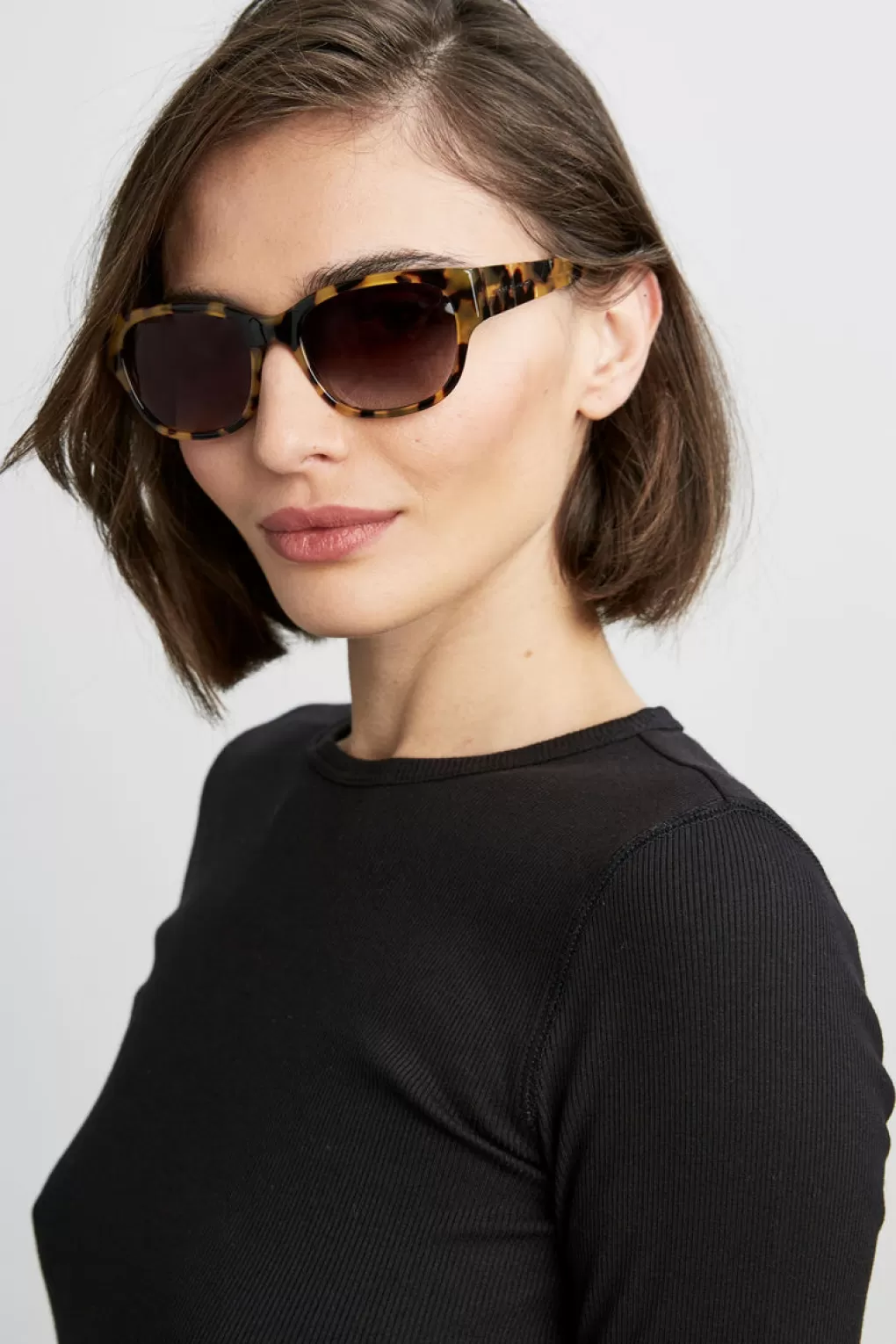 Fashion Elie Tahari Tortoise Wayfarer Tokyo Tortoise